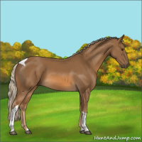 Horse Color:Chocolate Palomino Tobiano 