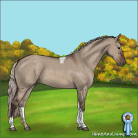 Horse Color:Silver Brown Roan Dun Tobiano 
