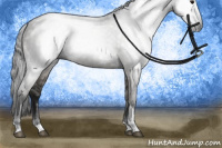 Horse Color:Gray Smoky Grullo Tobiano