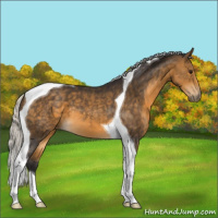 Horse Color:Silver Buckskin Tobiano 