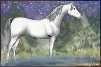 Horse Color:White Spotted Black Splash Rabicano