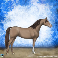 Horse Color:Classic Champagne