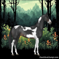 Horse Color:Brown Tobiano Frame Rabicano 