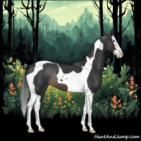Horse Color:Brown Sabino Splash Tobiano Rabicano 