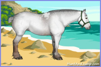 Horse Color:Gray White Spotted Liver Chestnut