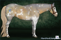 Horse Color:Watercolor White Spotted Chocolate Palomino 