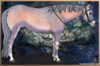 Horse Color:Watercolor Blue Onyx 