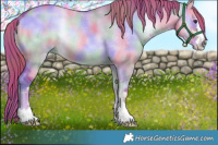 Horse Color:Nacre Watercolor Red Dun Onyx 