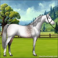 Horse Color:Gray Bay Tobiano