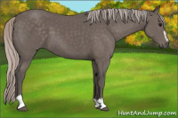 Horse Color:Silver Black Sabino 