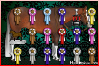 Horse Color:Bay Splash Rabicano