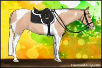 Horse Color:Silver Sable Champagne Roan Tobiano 