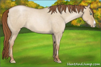 Horse Color:Smoky Grullo Roan Pearl 