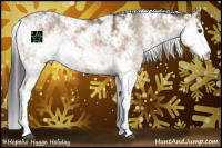 Horse Color:Bay Dun Sabino 