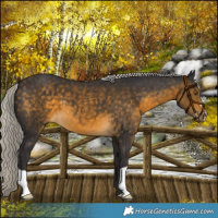 Horse Color:Silver Buckskin 