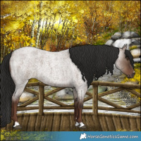 Horse Color:Liver Red Dun Roan 
