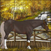 Horse Color:Silver Brown 