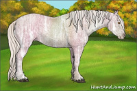 Horse Color:Silver Black Ice Pearl 