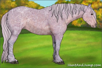 Horse Color:Watercolor Silver Black Ice 