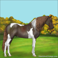 Horse Color:Liver Chestnut Tobiano 