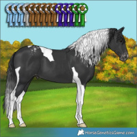 Horse Color:Black Tobiano Varnish 