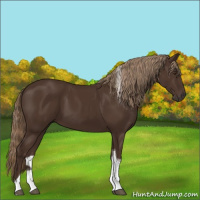 Horse Color:Liver Chestnut Tobiano 