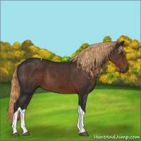 Horse Color:Liver Chestnut Tobiano 