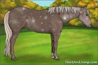 Horse Color:Silver Black 