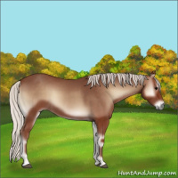 Horse Color:Silver Blue Onyx