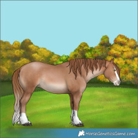 Horse Color:Brown Pearl Splash Rabicano 