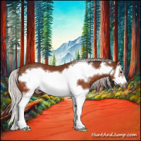 Horse Color:Silver Bay Splash Frame Rabicano 