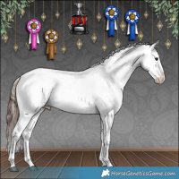 Horse Color:White Spotted Brown Dun Appaloosa 