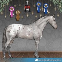 Horse Color:White Spotted Brown Dun Appaloosa 