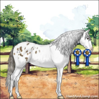 Horse Color:White Spotted Buckskin Dun Appaloosa 