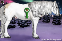 Horse Color:Gray Buckskin Splash Tobiano and Buckskin Dun Splash