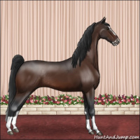 Horse Color:Brown Splash Frame Rabicano