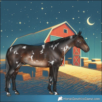 Horse Color:White Spotted Brown 