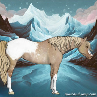 Horse Color:Red Dun Snowcap Rabicano 