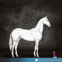 Horse Color:Silver Buckskin Dun Near Leopard Brindle 