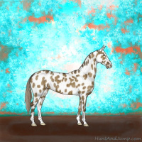 Horse Color:Chocolate Palomino Dun Sabino Appaloosa Brindle 