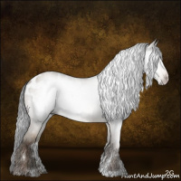 Horse Color:Gray Sable Champagne Roan Dun Sabino Appaloosa Rabicano Brindle 