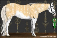 Horse Color:Palomino Splash Appaloosa  and Gold Cream Champagne Splash 