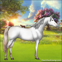 Horse Color:Gray Red Dun Roan 