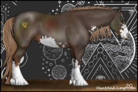 Horse Color:Liver Chestnut Sabino 