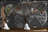 Horse Color:Liver Chestnut Sabino 