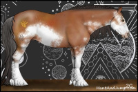 Horse Color:Bay Sabino Frame Rabicano