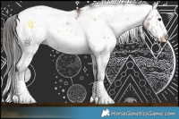 Horse Color:Bay Sabino Splash 