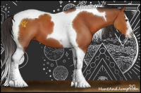 Horse Color:Bay Sabino Splash Tobiano 