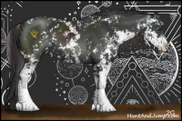 Horse Color:Liver Chestnut Sabino 