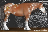 Horse Color:Bay Sabino 
